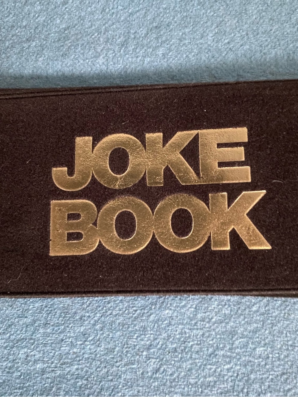 Novelty Check Book Cover Gold Lettering on Brown Panel